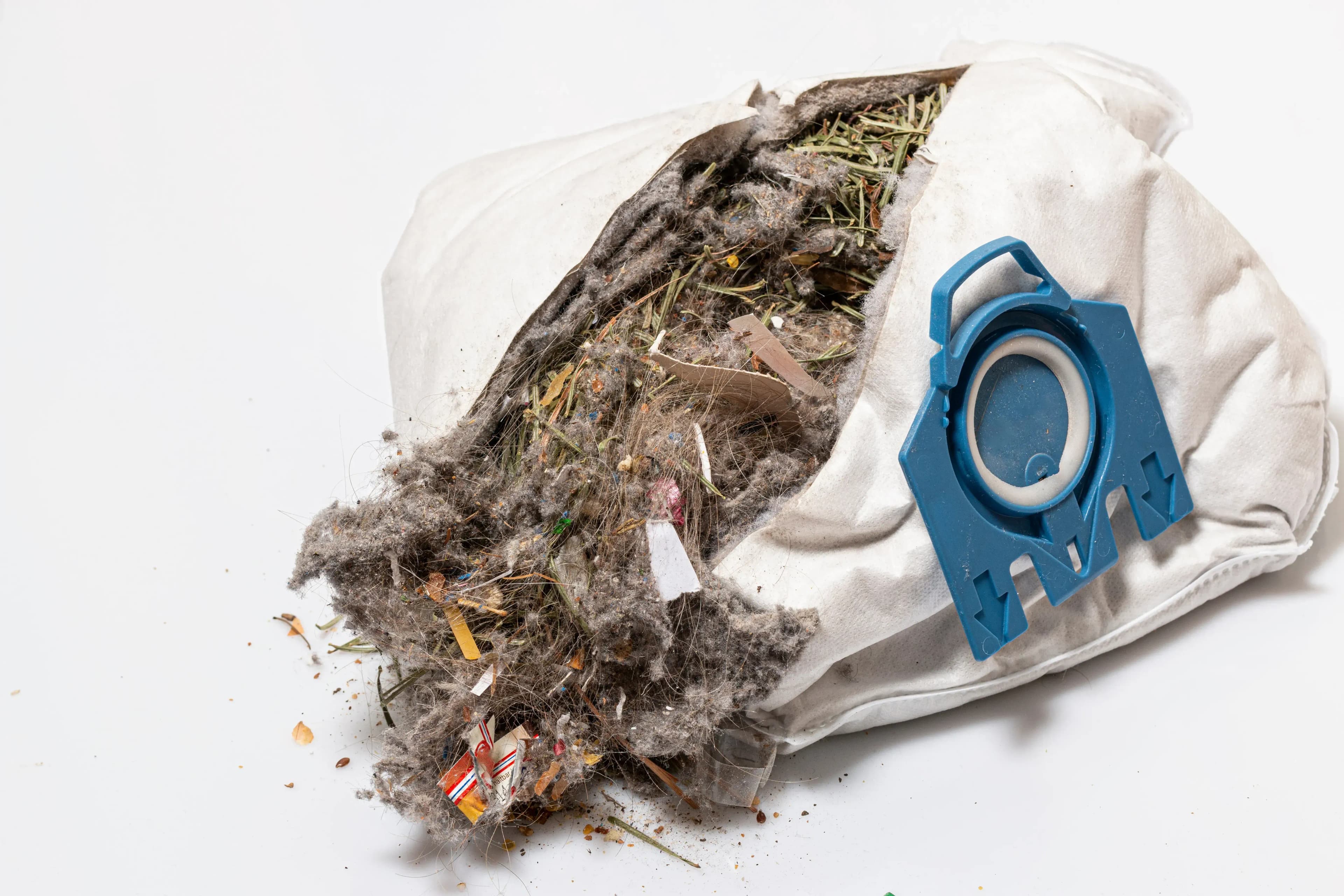 Was ist der Unterschied zwischen einem normalen und einem Wasserstaubsauger?