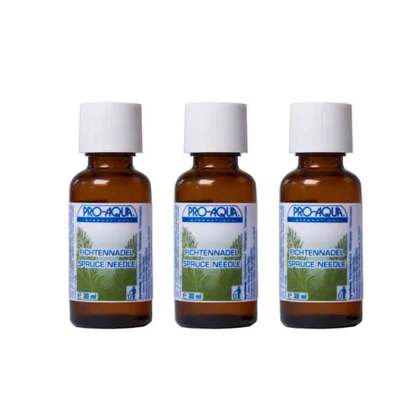 Pure Naturals Duftöl Fichtennadel